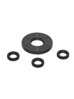 Комплект масляных уплотнителей KIT C /42547/ (к помпе RR 1520) — изображение 2