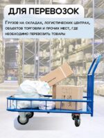 Платформенная тележка Промышленник 1200х600 ПБМ-6.12 160 мм с бортиком — изображение 6