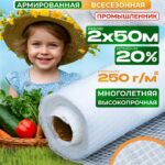 Армированная пленка для теплиц Промышленник 250 г/м2, 2х50м