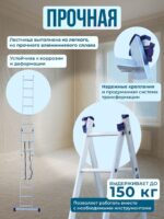 Лестница двухсекционная Alumet Ал 5209 — изображение 3