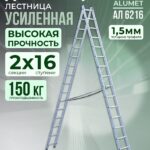 Лестница двухсекционная Alumet Ал 6216