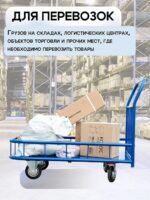 Платформенная тележка Промышленник 1000х600 ПБМ-6.10 125 ммс бортиком — изображение 6