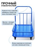 Платформенная тележка Промышленник 1200х600 ПБМ-6.12 160 мм с бортиком — изображение 5