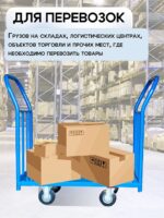 Платформенная тележка Промышленник 1800х800 ПД-8.18 200 мм с двумя ручками — изображение 6