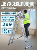 Лестница двухсекционная Alumet Ал 5209
