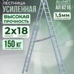 Лестница двухсекционная Alumet Ал 6218
