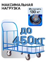 Платформенная тележка Промышленник 1000х600 ПБМ-6.10 160 мм с бортиком — изображение 3