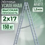 Лестница двухсекционная Alumet Ал 6217