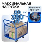 Платформенная тележка Промышленник 900х600 сетчатая ПС-6.9 125 мм — изображение 4