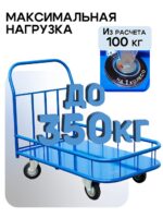 Платформенная тележка Промышленник 1000х600 ПБМ-6.10 125 ммс бортиком — изображение 3