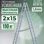 Лестница двухсекционная Alumet Ал 6215