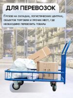 Платформенная тележка Промышленник 1200х800 ПБМ-8.12 200 мм с бортиком — изображение 6