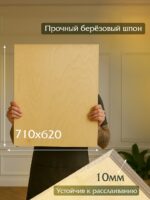 Фанера Промышленник 710х620х10мм, береза, упаковка 1 шт — изображение 2
