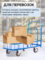 Платформенная тележка Промышленник 1000х600 ПБМ-6.10 160 мм с бортиком — изображение 6