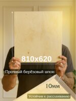 Фанера Промышленник 810х620х10мм, береза, упаковка 5 шт — изображение 2